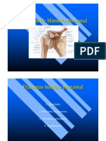 Humero Proximal, fracura