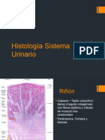 Histología Sistema Urinario