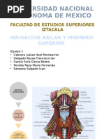 Irrigacion Axilar y Miembro Superior (2)