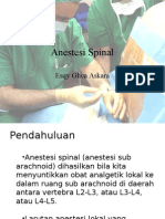 Anestesi Spinal Esqy