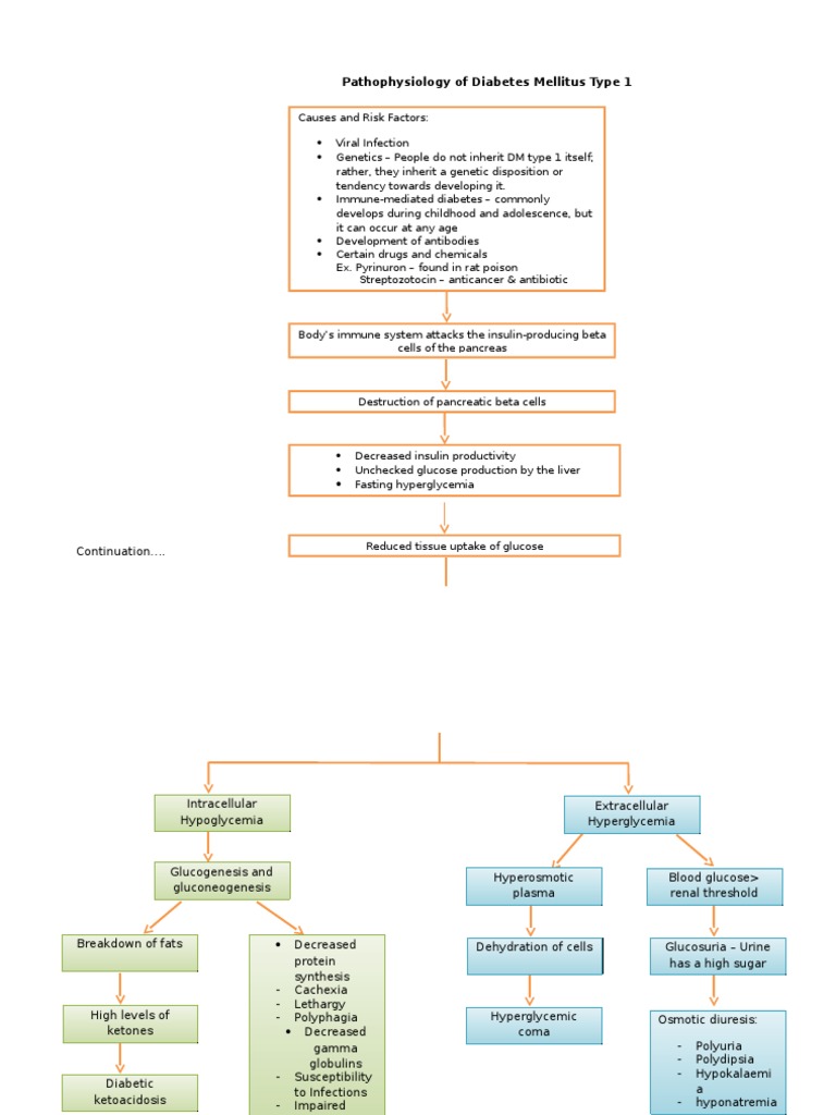 Pathophysiology of Type 1 Diabetes | PDF | Diabetes | Hyperglycemia
