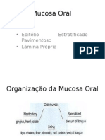 Mucosa Oral