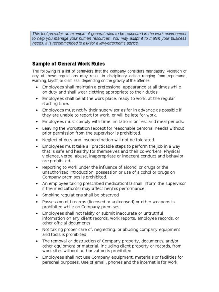 General Work Rules for Employees | PDF | Employment | Government ...