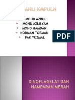 DINOFLAGELAT DAN HAMPARAN MERAH.ppt