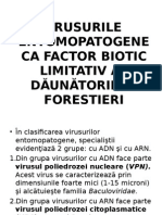 Virusurile Entomopatogene