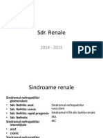 SDR Renale 2015 - 2