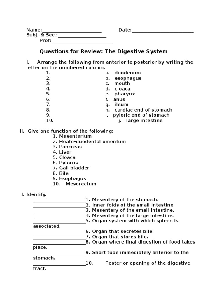 Questions For Review: The Digestive System | PDF | Science & Mathematics