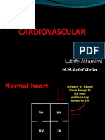 6#radiologi Sistem Kardiovasuler