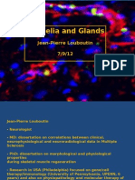 Lecture Epithelia and Glands