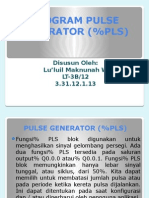 Program Pulse Generator (%PLS)