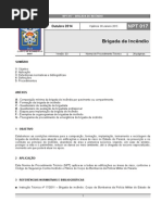 NPT 017 Brigadaincendio