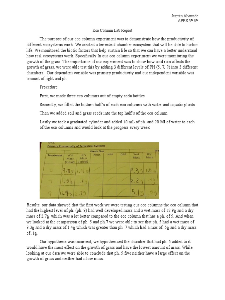 Apes exam format image