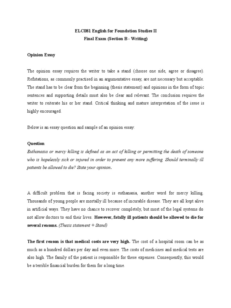 sample student opinion essay