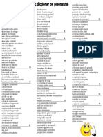 Mic Dictionar de Pleonasme