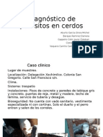 Diagnóstico de Parásitos en Cerdos