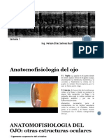 Clase I - Anatofisiologia y Patologias Del Ojo