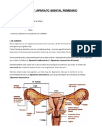 Tema 7, Aparato Reproductor Femenino