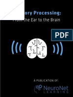 From The Ear To The Brain: Auditory Processing