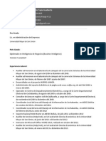 CV G Patiño T PDF