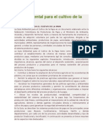 Guía Ambiental para El Cultivo de La Papa