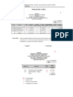 PBV-Proceso de La Aud_Especial-Trab_Campo