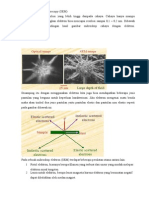 Scanning Electron Micros