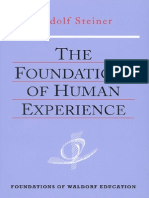 Foundations For Human Experience