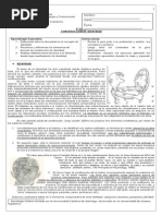 1. Guía, Construcción de Identidad