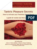 Tantric Pleasure Secrets PDF