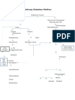 Pathway Diabetes Melitus