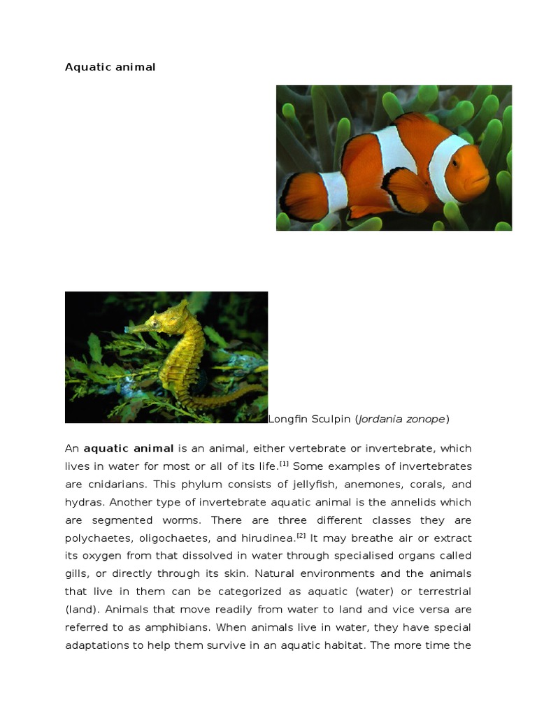 Aquatic animal & PLANTS & TERRESTRIAL PLANTS & ANIMALS.doc Aquatic Ecology Organisms