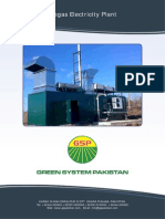 Biogas Electricity Plant: Khrak Singh Depalpur Distt. Okara Punjab, Pakistan