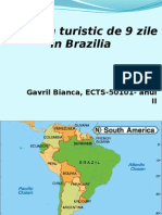 Program Turistic de 9 Zile in Brazilia
