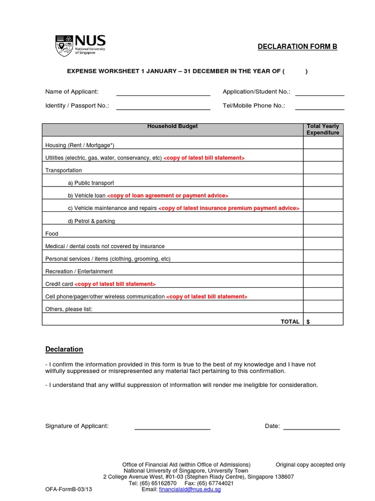 Declaration Form B | PDF