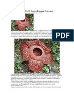 Raflesia Arnoldi