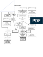 Hematemesis Melena Pathway