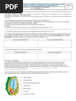 Taller de Refuerzo 5 I Periodo