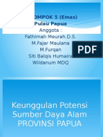 IPS Provinsi Papua