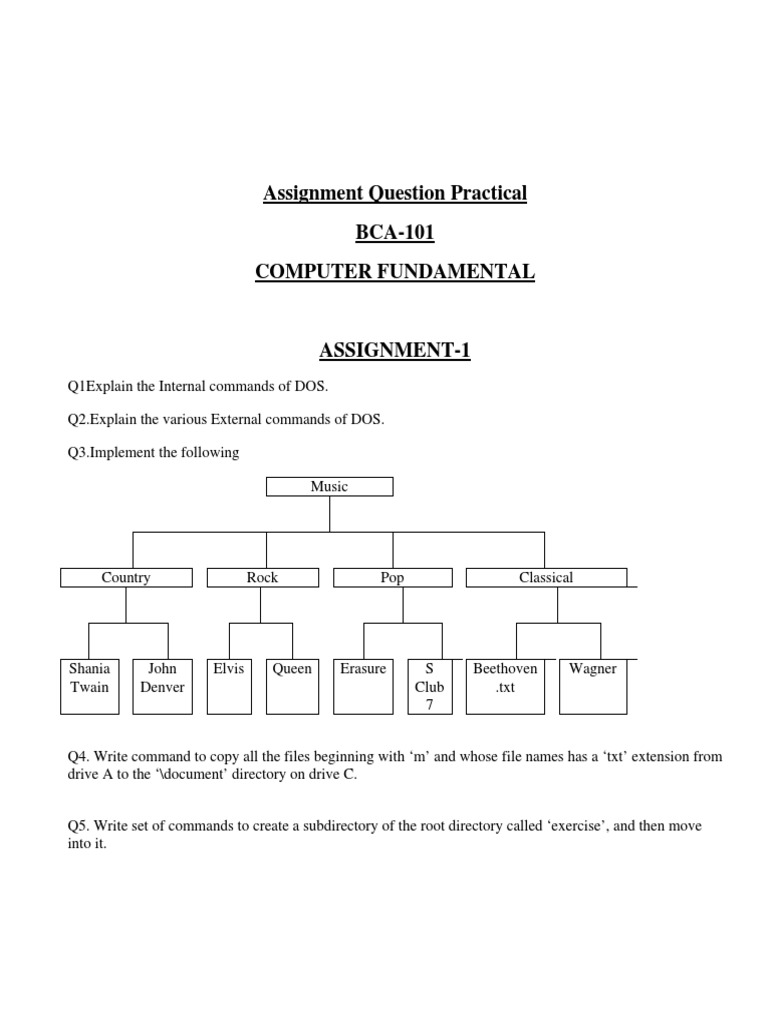 DOS and MS Word Assignment Guide | PDF | Teaching Methods & Materials ...