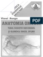 Anatomia Omului Tubul Digestiv Abdominal Si Glandele Anexe Splina Viorel Ranga
