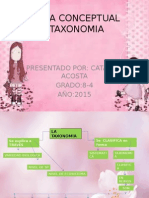 Mapa Conceptual Taxonomia