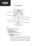 Panduan Luka Insisi dan Drainase Medis | PDF