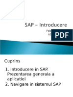 1. SAP - Introducere