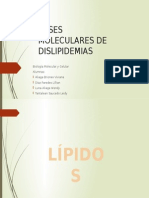 Bases Moleculares de Dislipidemias-LTS