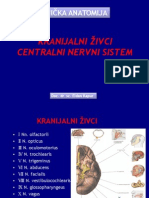 Nervi Craniales, Klinička Anatomija