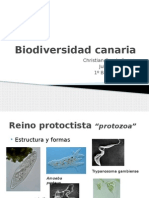 Biodiversidad Canaria