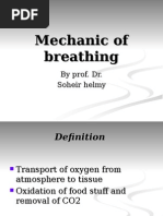 Mechanic of Breathing - 2