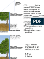 Plant Biology - Water Transport