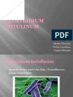 Bacilul Botulinic