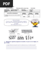 Guia de Celulas 5 Basico